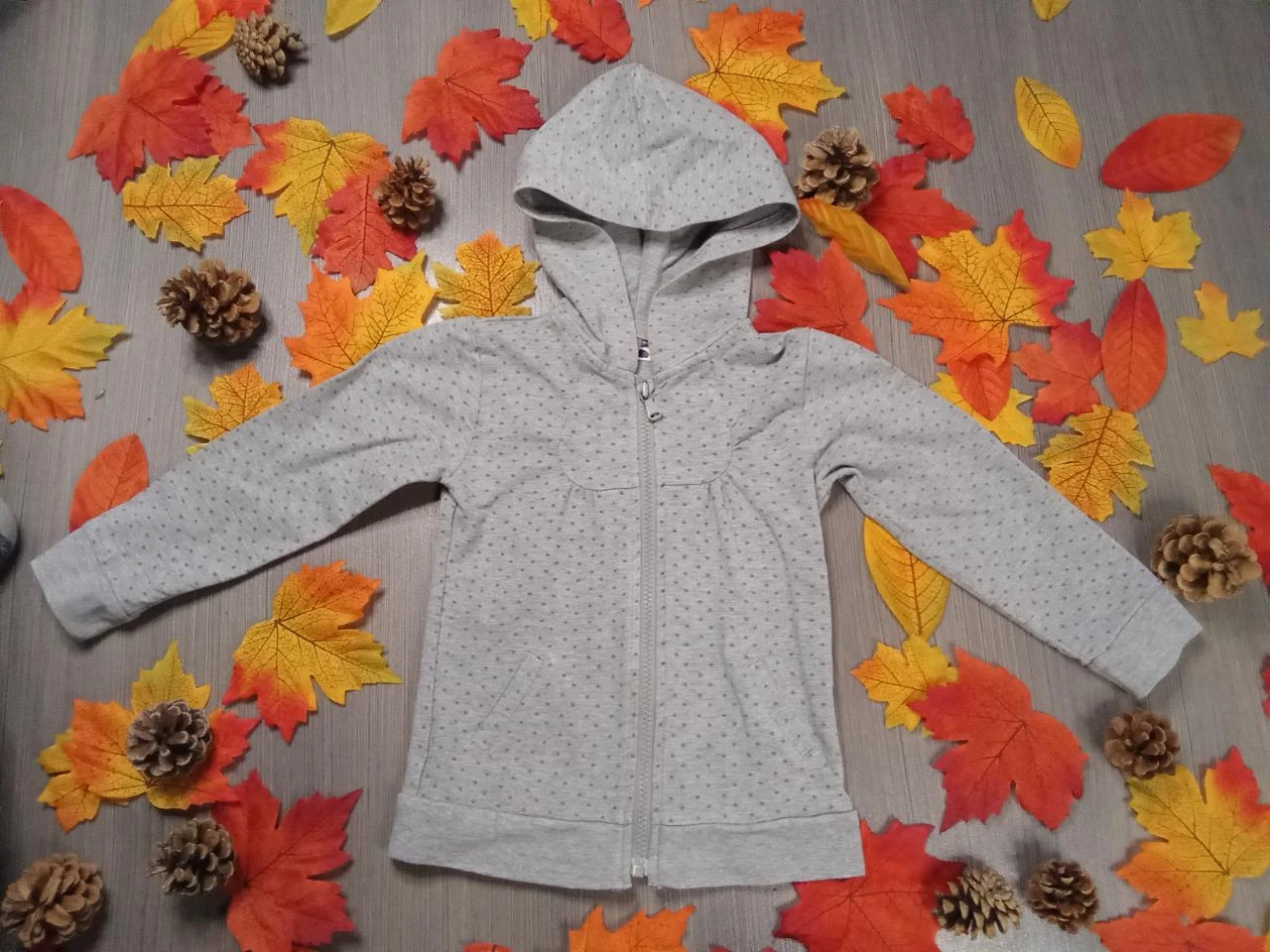 Joli veste grise à capuche Lili Rose 4 ans